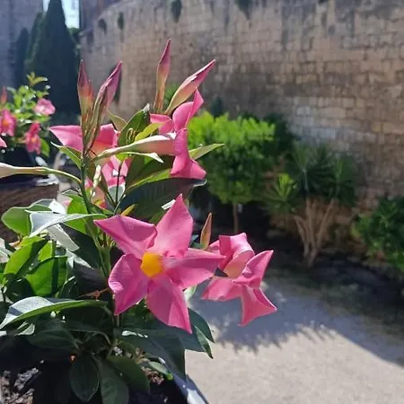 Διαμέρισμα La Torre